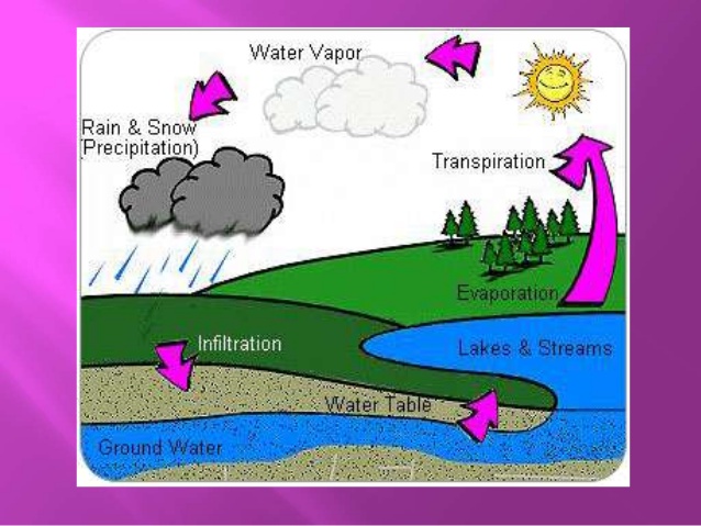 Contoh Explanation Text Terpopuler Dalam Bahasa Inggris 