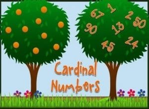 Contoh soal cardinal and ordinal number 