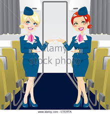 stewardess cartoon