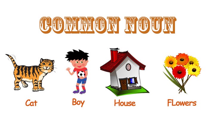 Pengertian Common Noun dan Contoh Kalimat Common Noun Dalam Bahasa Inggris