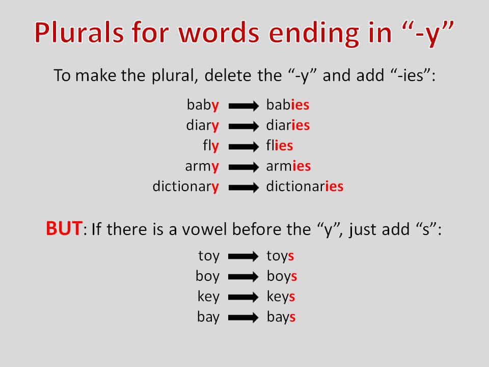 Penggunaan Plural Noun Berakhiran Y Dalam Bahasa Inggris Beserta Contoh Kalimat Lengkap
